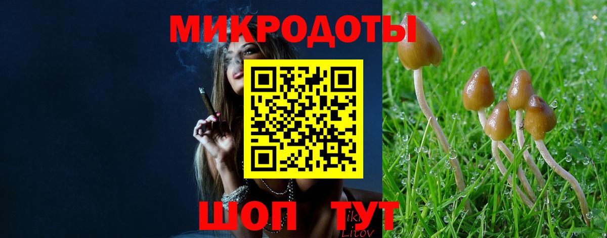 Псилоцибиновые грибы мицелий Нижний Тагил